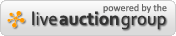 Online Auction Software